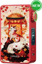 lost vape