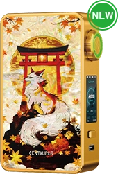 lost vape