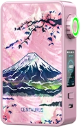lost vape