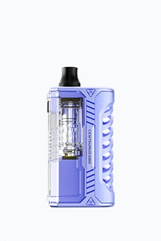 lost vape