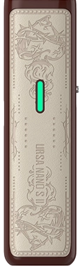 lost vape